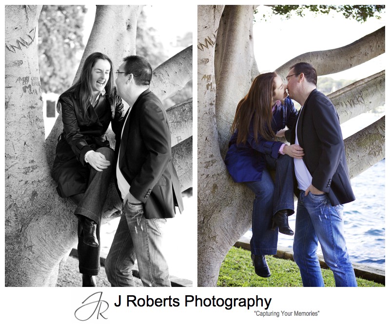Couple kissing in a tree - pre wedding portraits sydney